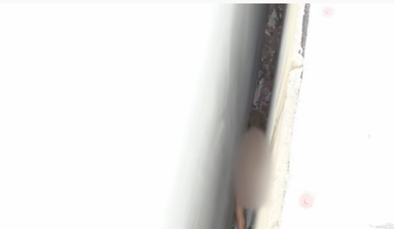 أغرب عملية إنقاذ في التاريخ 